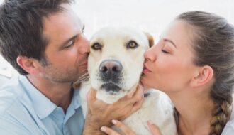 man and woman kissing their new rescue dog