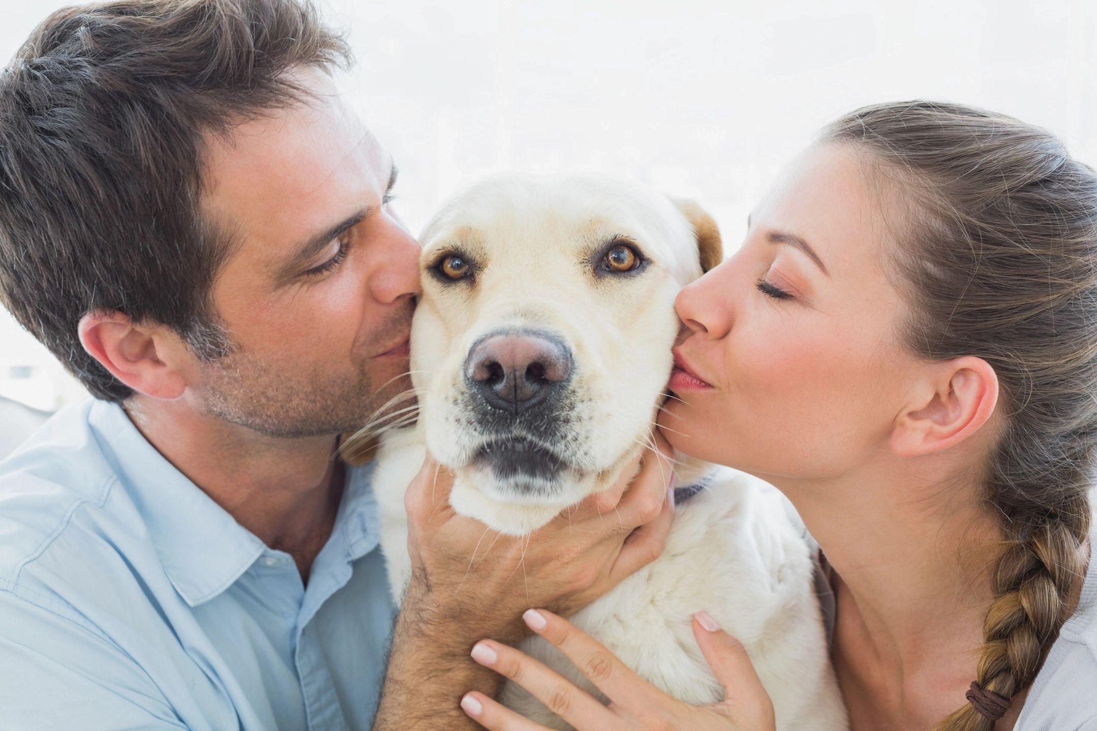 man and woman kissing their new rescue dog